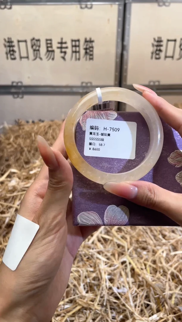 未镶嵌手镯石英质玉H7509