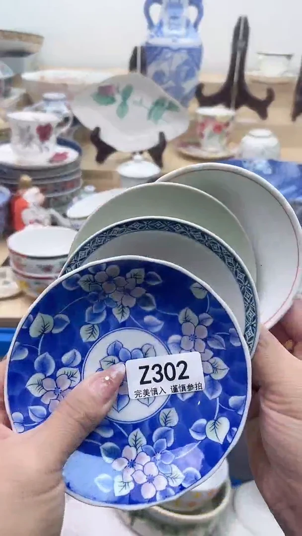 【闪购商品】瓷片302