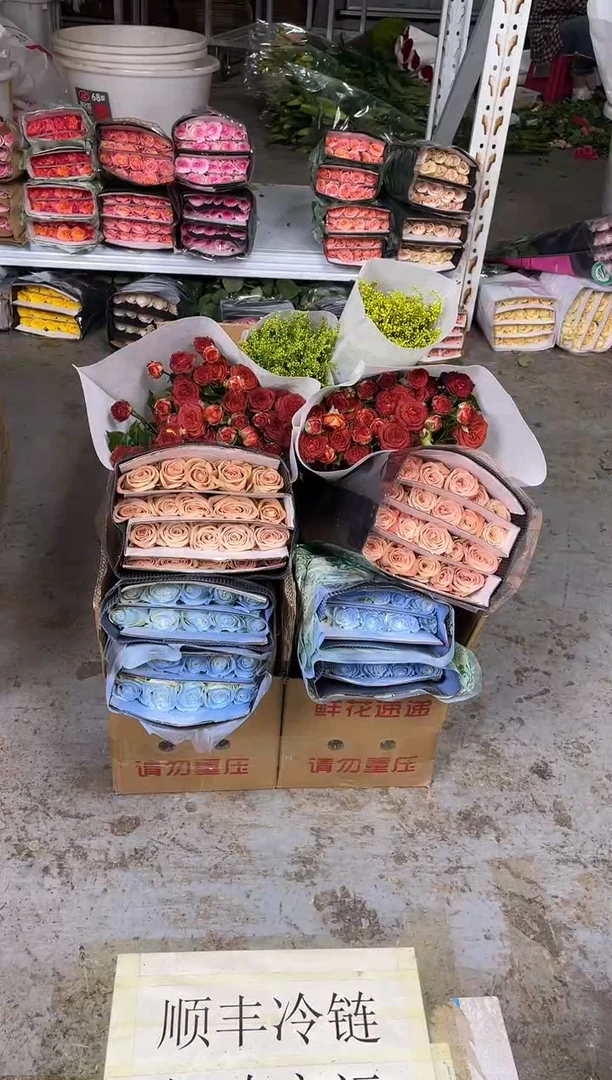 碎冰蓝20枝+卡布20枝+巧克了10枝+黄莺