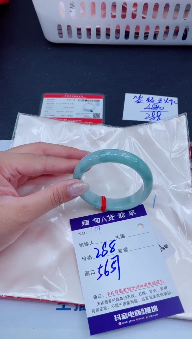 未镶嵌手镯翡翠1
