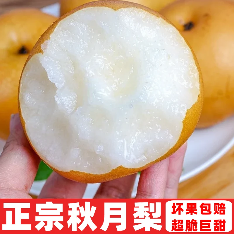 【爆甜】正宗秋月梨酥梨水果新鲜应季薄皮梨子一整箱批发价大果