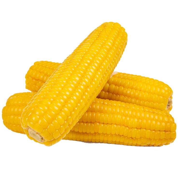 鲜黄玉米(去皮）（约1000g）水果玉米