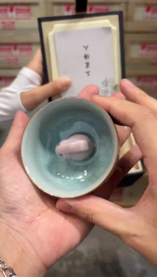 瓷片@@@@@@@@@@@@@@1576