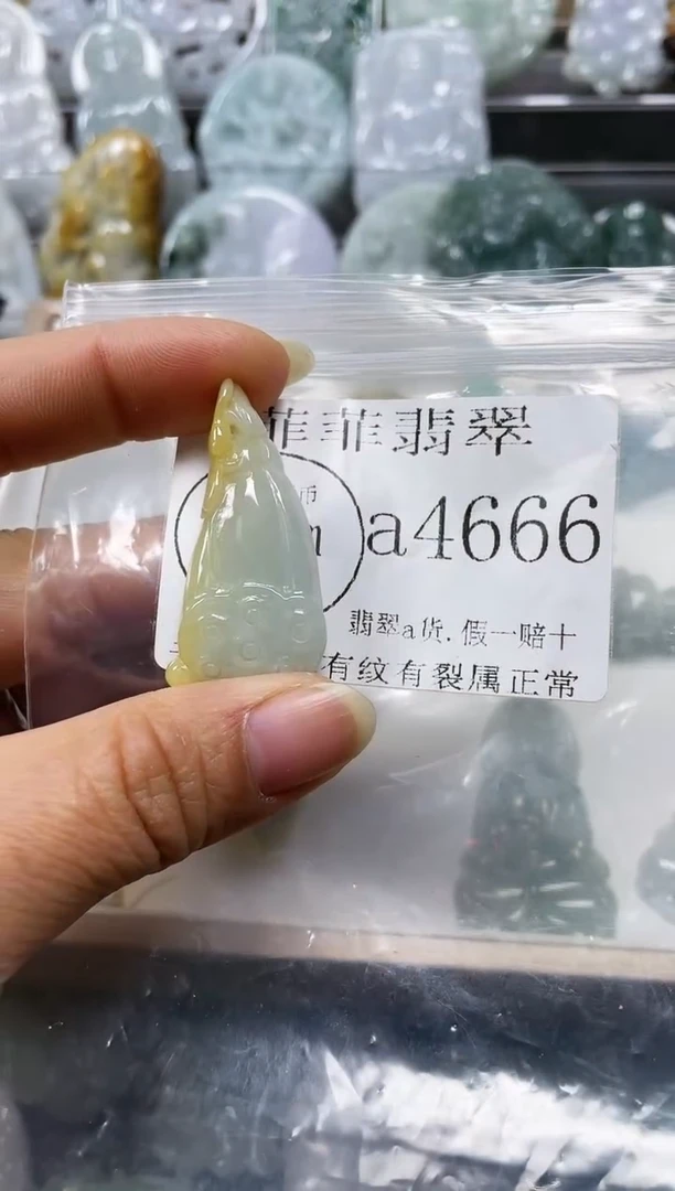 【闪购商品】翡翠颈饰未镶嵌闪购4666