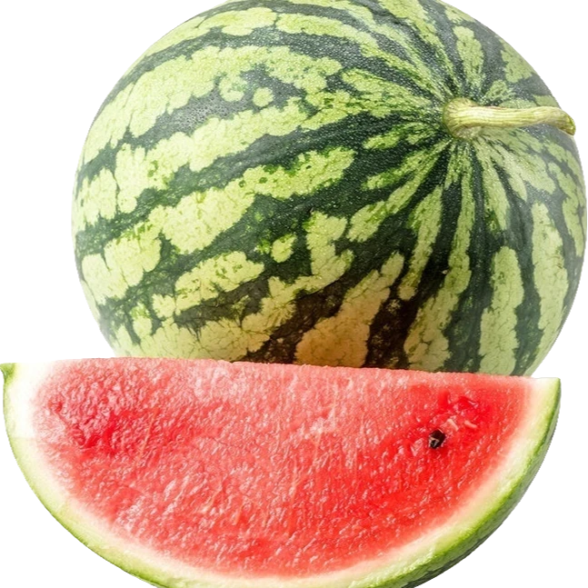 【整个不切】麒麟西瓜约10斤左右西瓜同城配江苏省