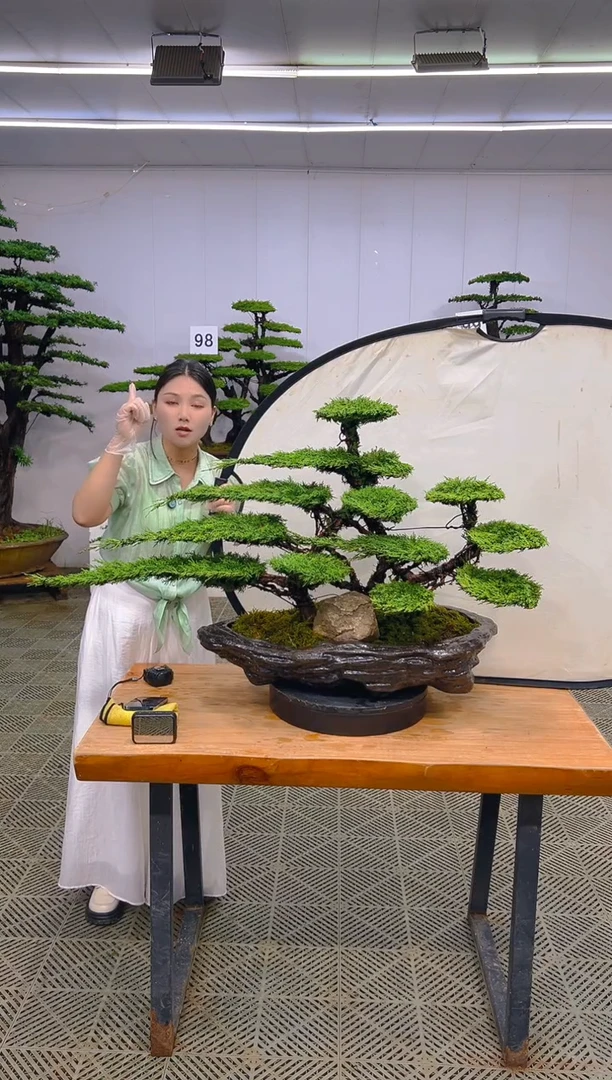无花朵一物一拍一物一拍