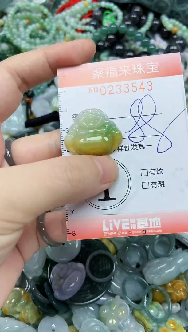 未镶嵌挂件翡翠闪购0233543