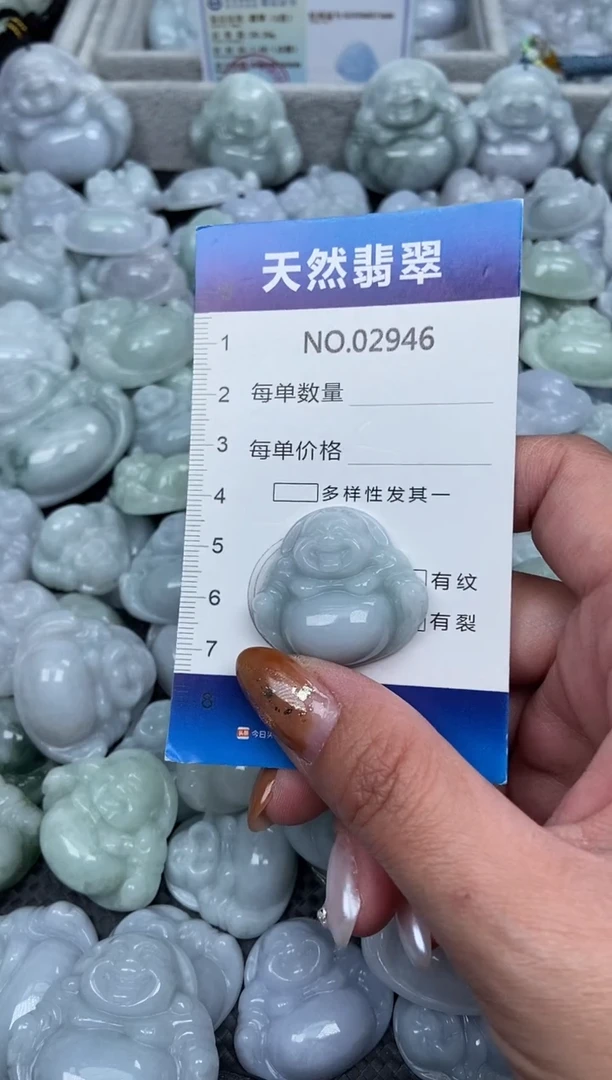 颈饰未镶嵌翡翠纯天然A货翡翠2946