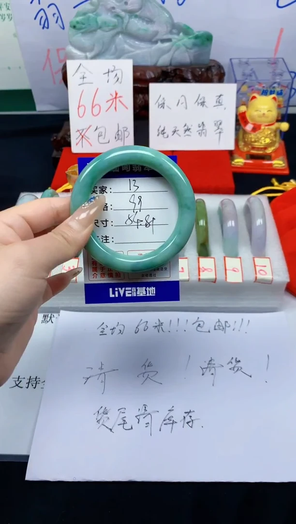 未镶嵌手镯翡翠13
