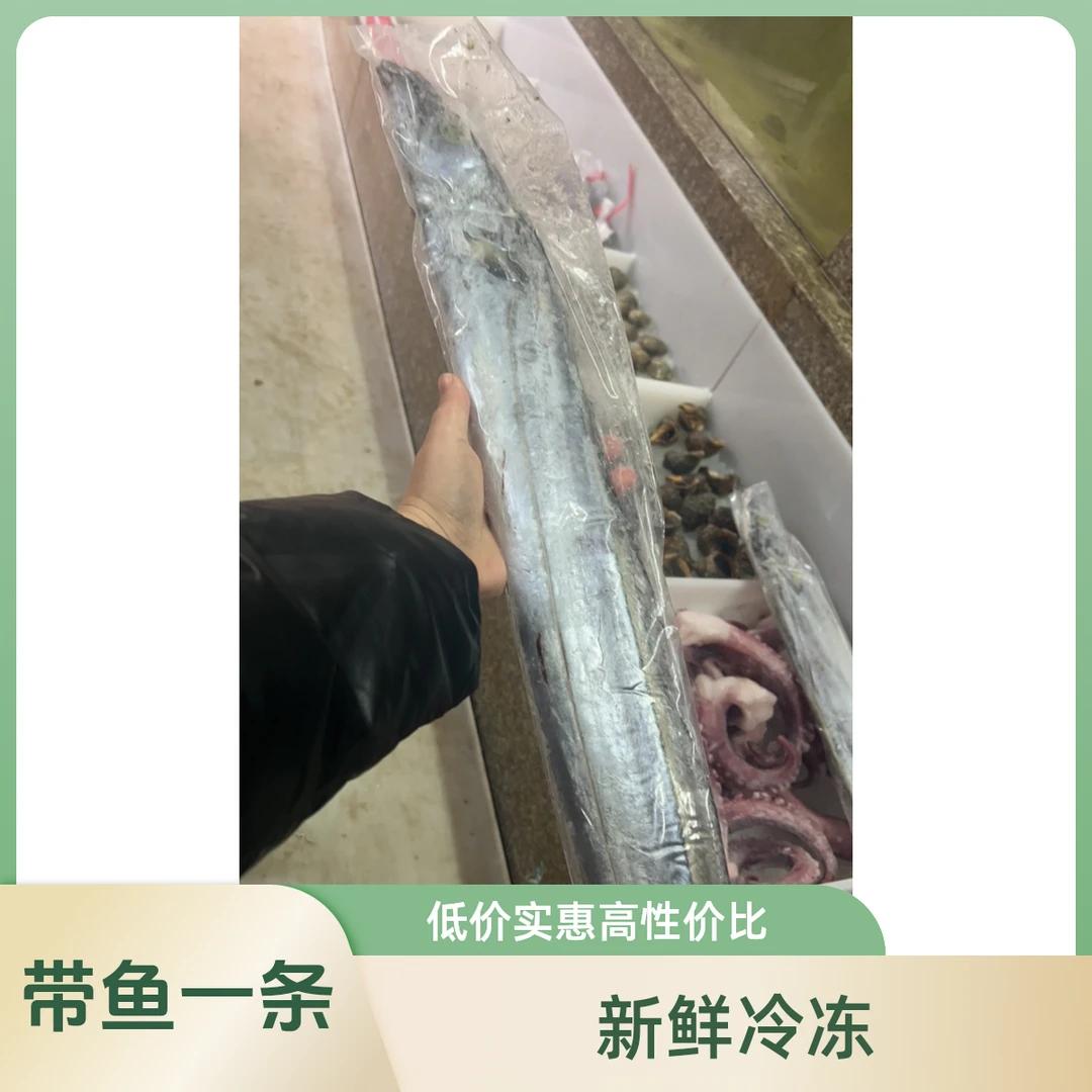 （可快递）冷冻-带鱼一条600-700g带鱼同城送