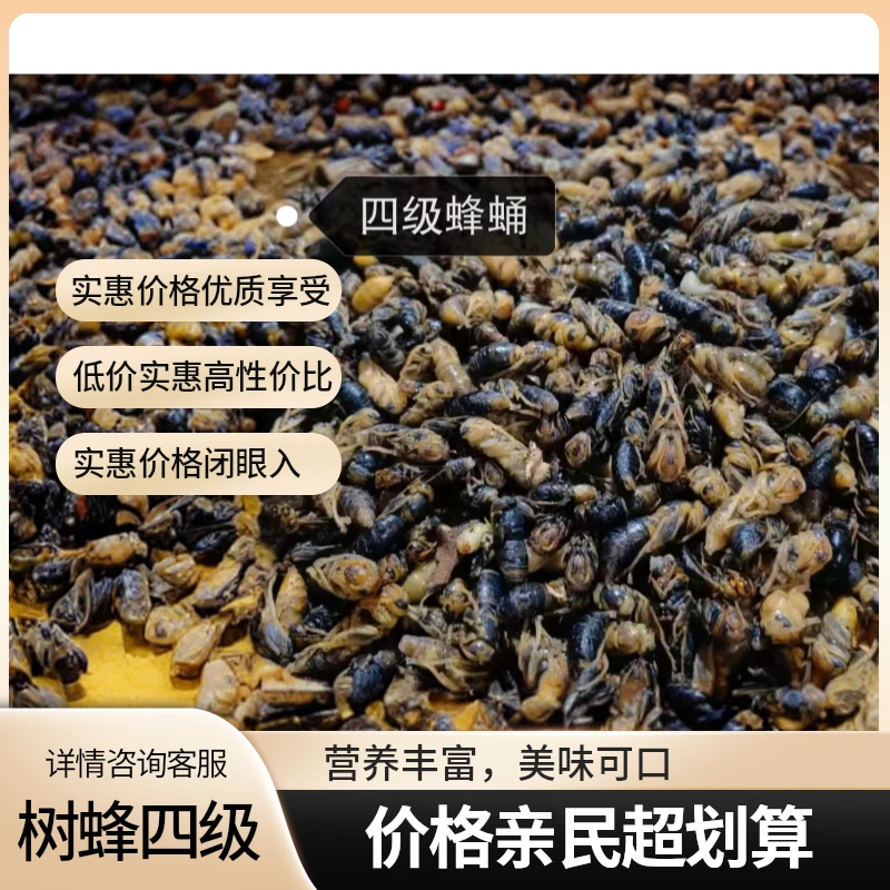 树蜂4级新鲜速冻顺丰包邮深山野生马蜂树蜂蜂蛹嘎嘣脆下酒好菜