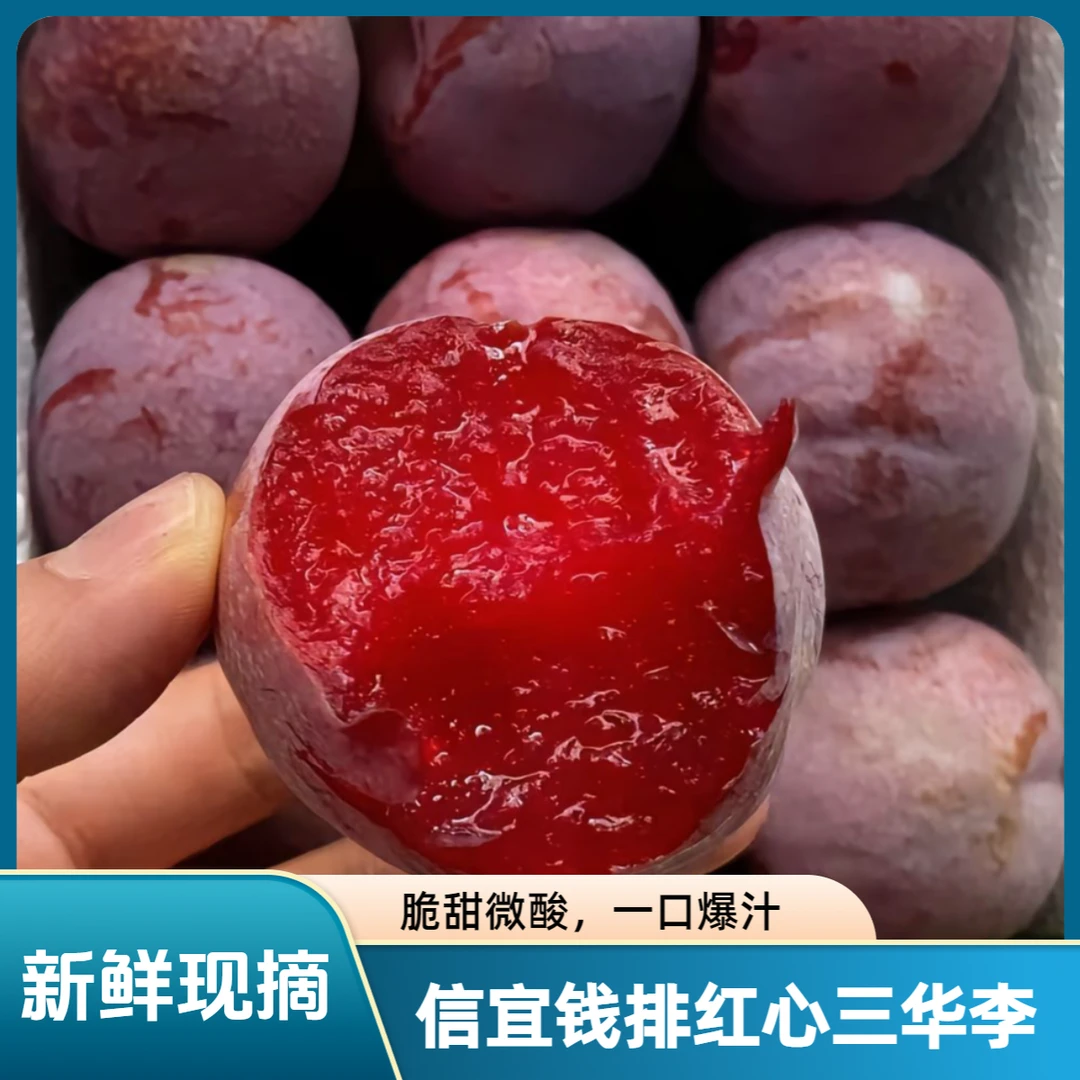 广东信宜钱排红心三华李新鲜现摘当季酸脆水果
