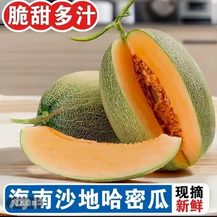 正宗海南沙地哈密瓜当季新鲜水果脆甜多汁产地直发