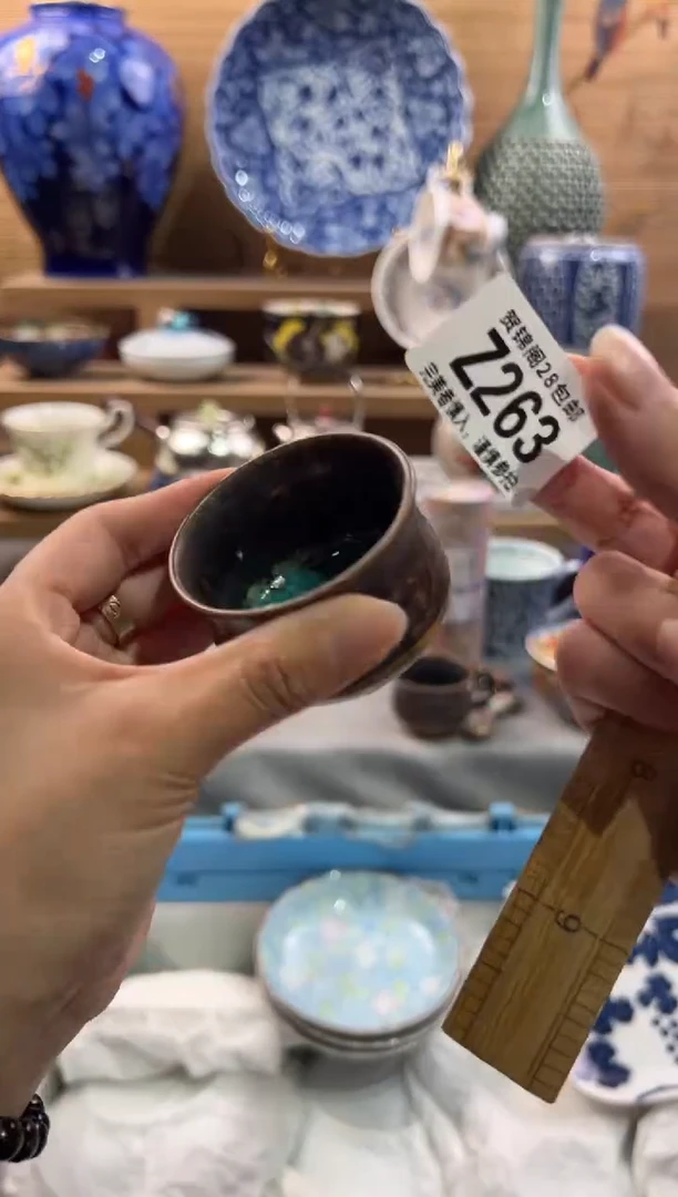 瓷片鸿*      Z263