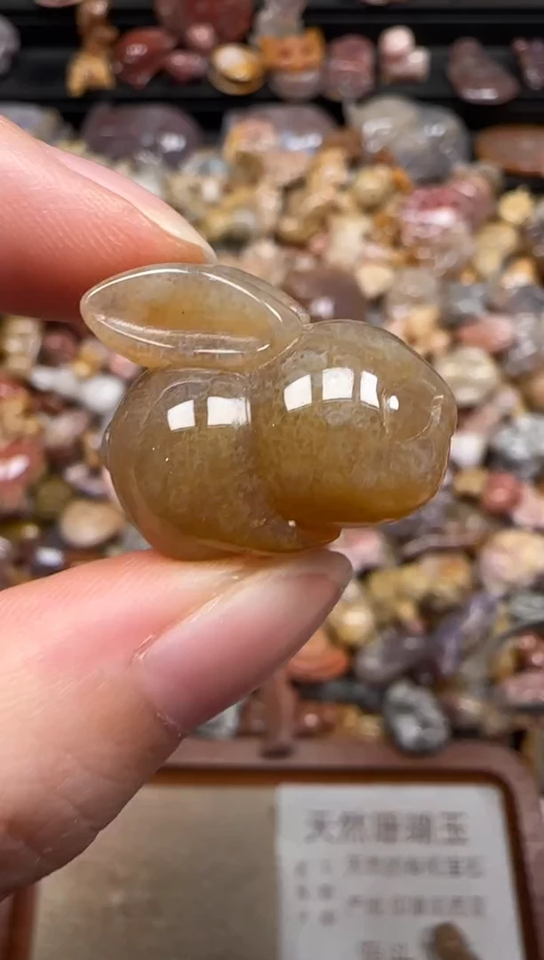 硅化珊瑚（珊瑚玉）未镶嵌颈饰770