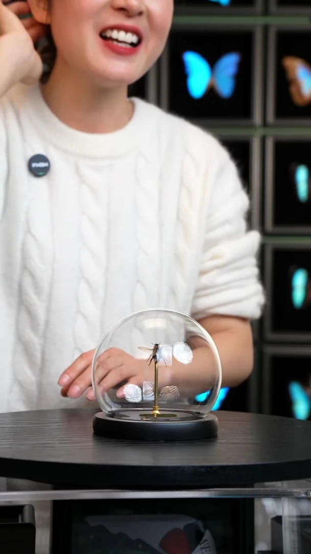 熊蜂蜂王小号玻璃球