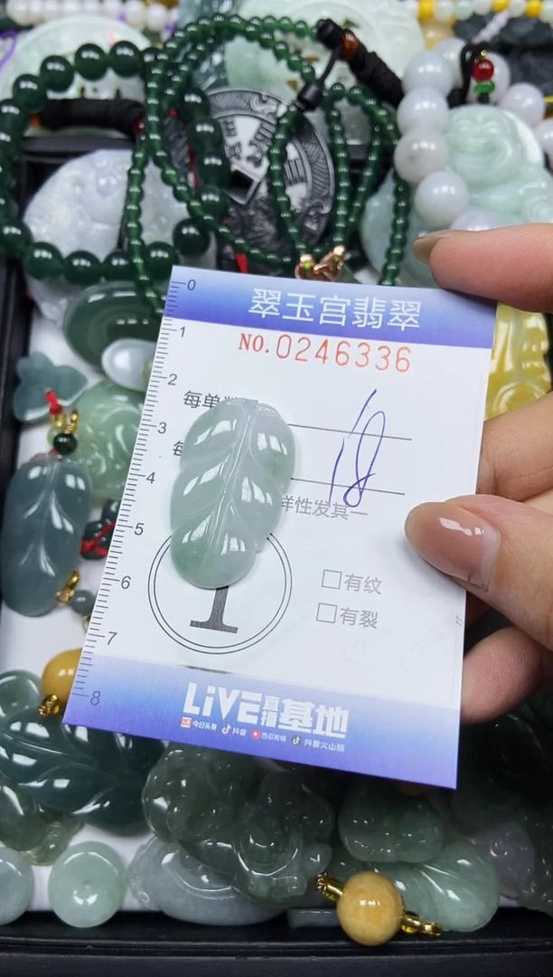 颈饰未镶嵌翡翠闪购C0246336