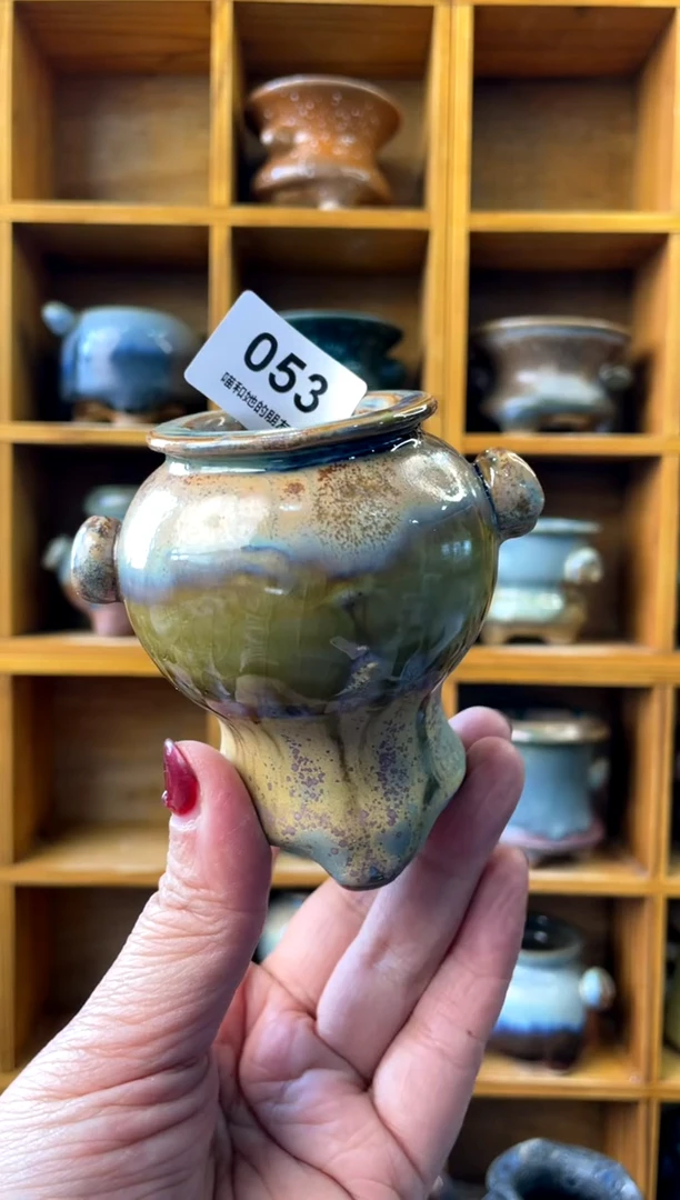 【闪购商品】陶053【喵喵团圆多肉盆】