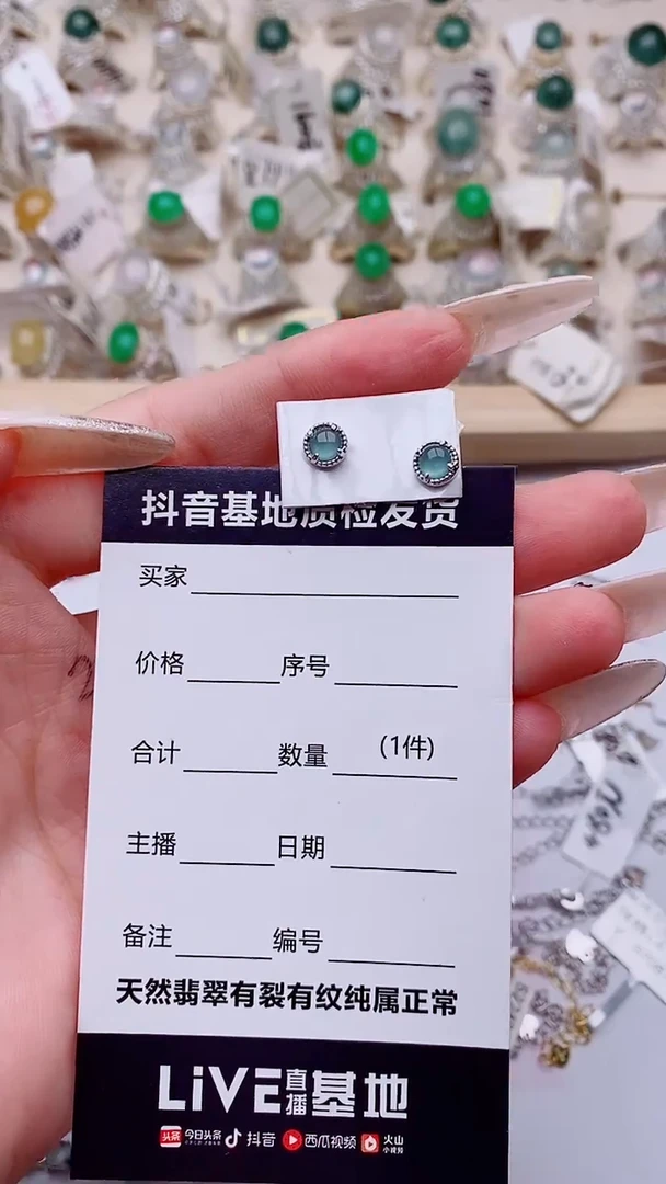 银S925镶嵌翡翠耳饰一**然1