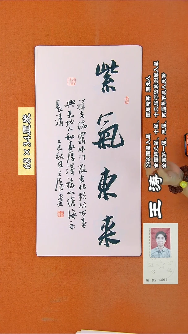 书法28RD王涛书法作品