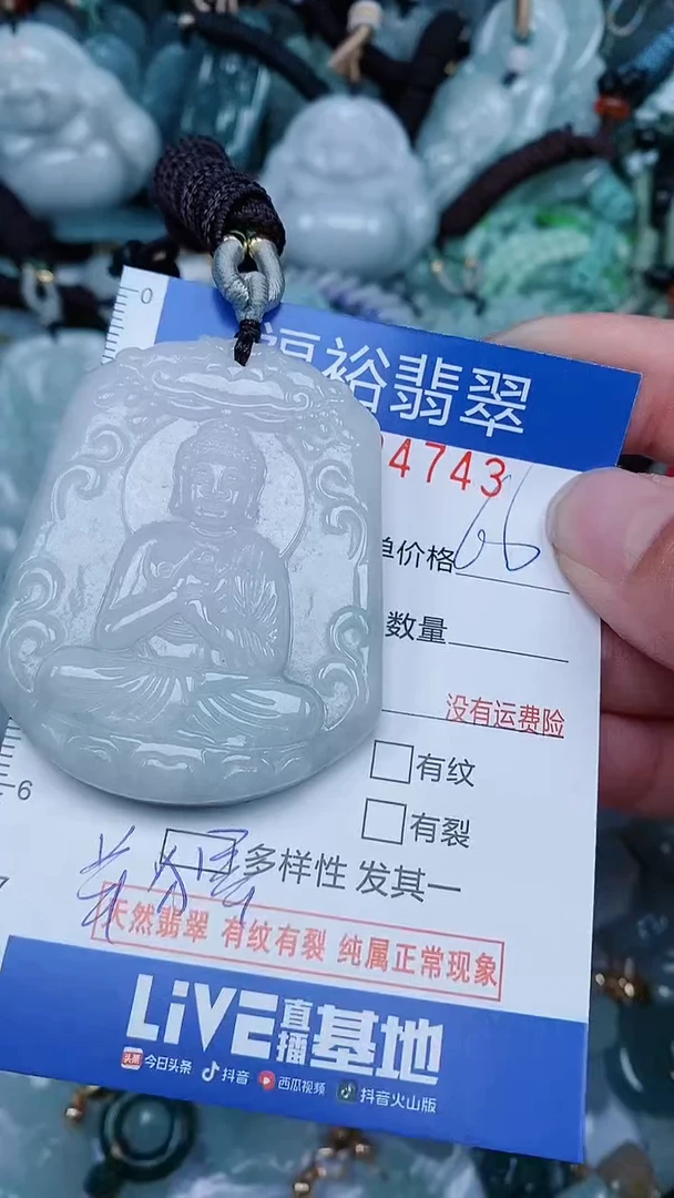 【闪购商品】翡翠颈饰未镶嵌...0004743