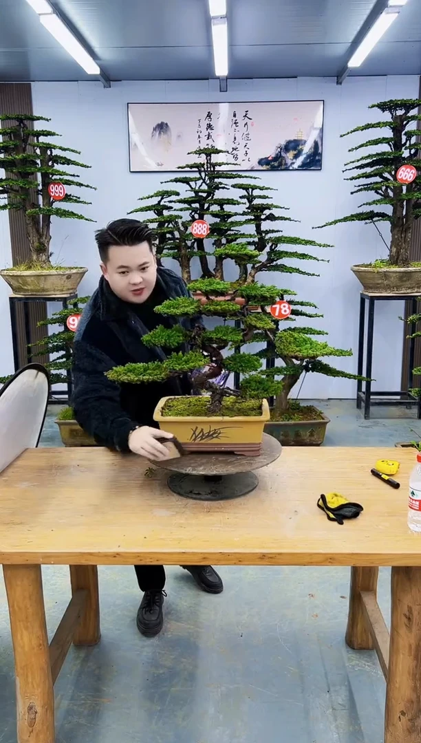 以实际为准000000000000