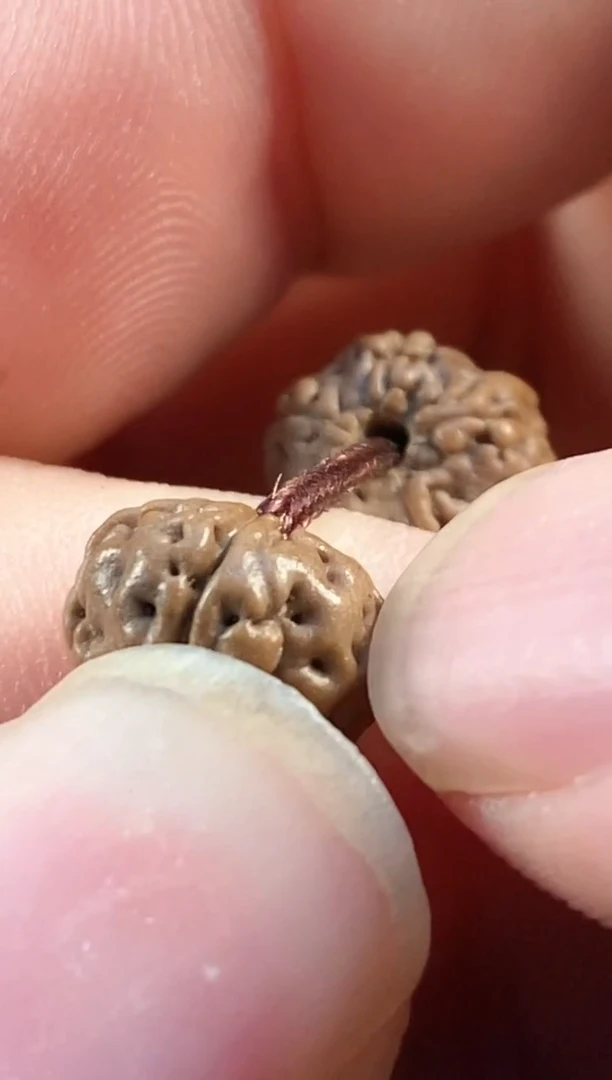 吊坠金刚菩提855五瓣老树王108长串9-12mm