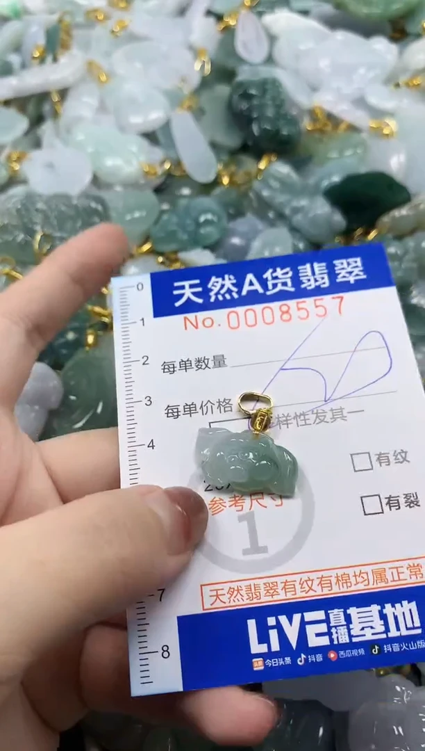 颈饰未镶嵌翡翠天然A货翡翠