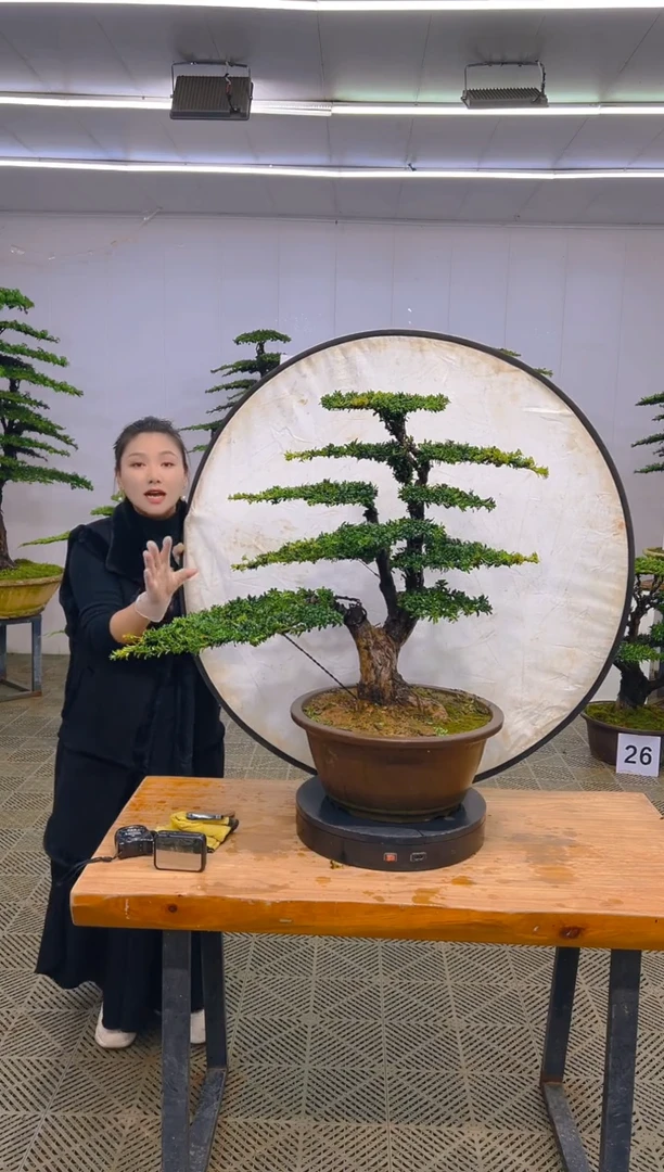 无花朵一物一拍一物一拍