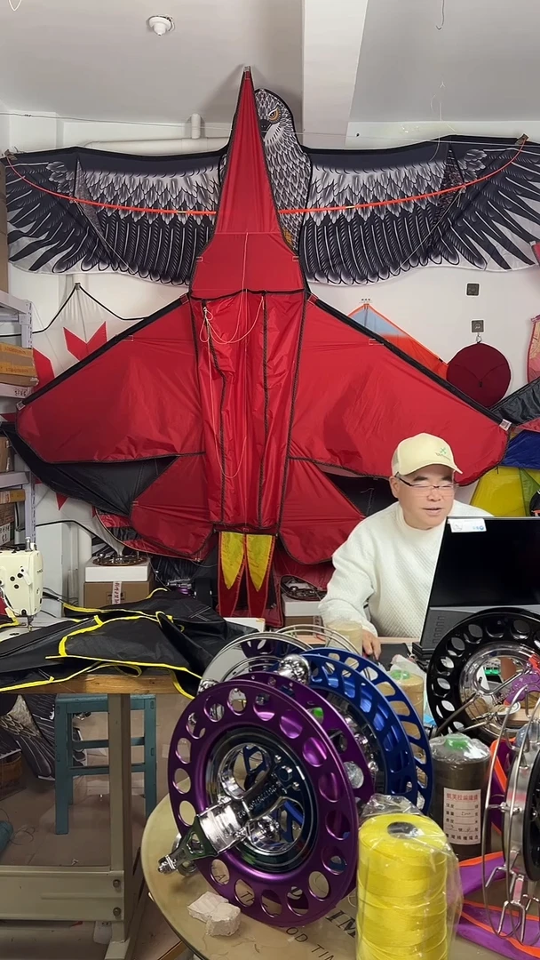 飞阳歼三五蓝鲨舰载机风筝