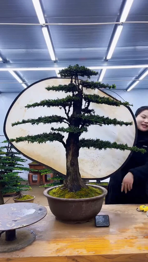 无花朵一物一拍，所见即所得