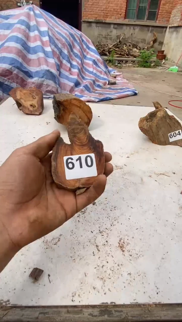 柏木（崖柏）太行陈化崖柏切片一块（津诚林）