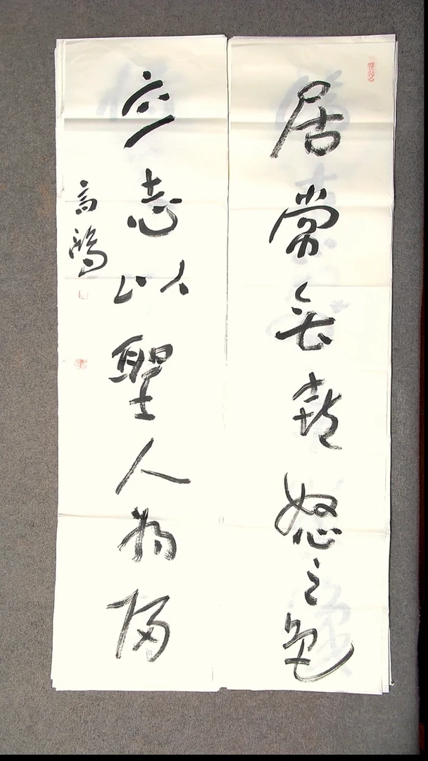 书法王高生 福建漳州 四尺对联