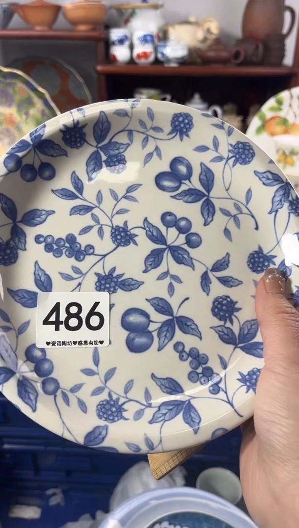 【闪购商品】瓷片486............