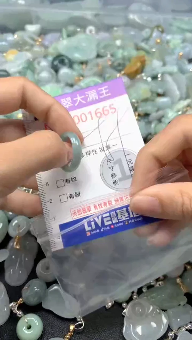 颈饰未镶嵌翡翠1665