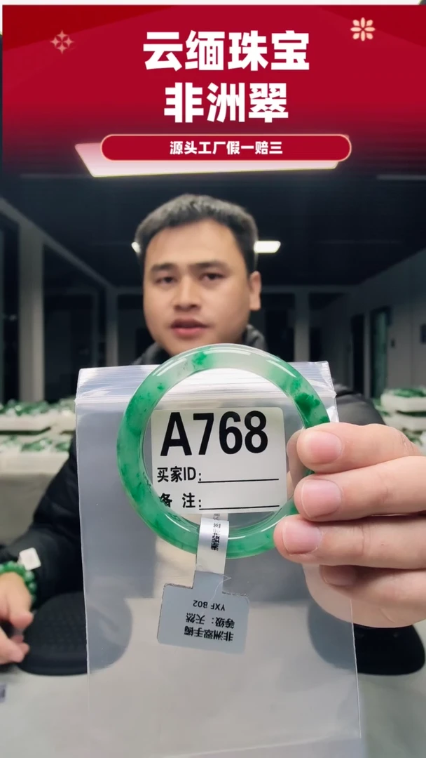 未镶嵌手镯石英质玉（非洲翠）61圈口A768