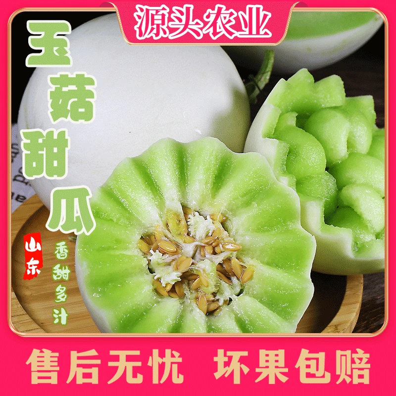 【玉菇甜瓜】山东新鲜玉菇冰淇淋甜瓜软糯香甜4.5-5斤装W