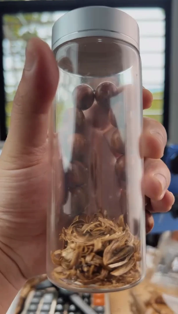 沉香碎屑沉香黄花梨1.6圆珠单圈多样性发一