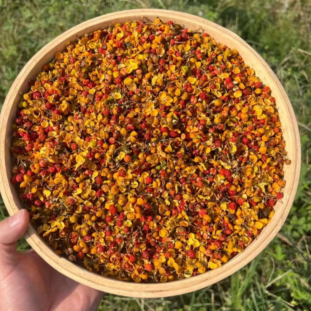 穿山龙 【南蛇藤果】【燕子山货推荐】