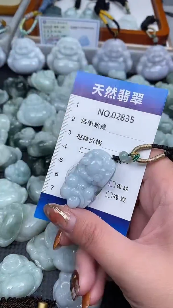 颈饰未镶嵌翡翠纯天然A货翡翠2835