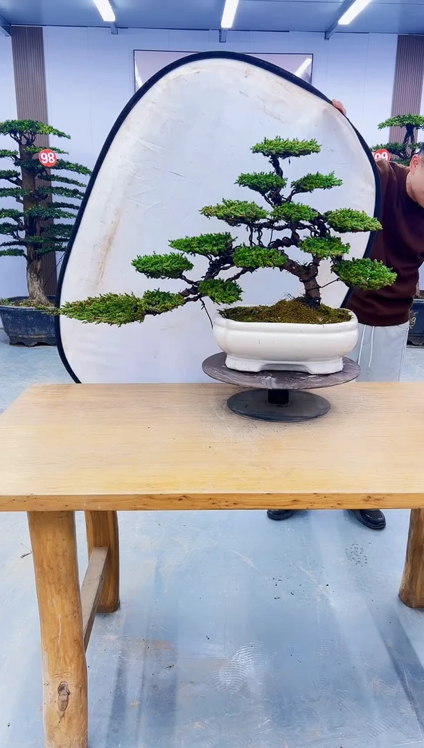 以实际为准00000000000