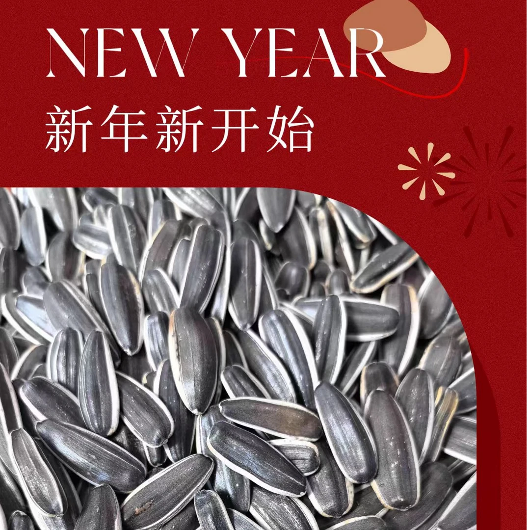 新货中大颗粒饱满葵花子生熟瓜子