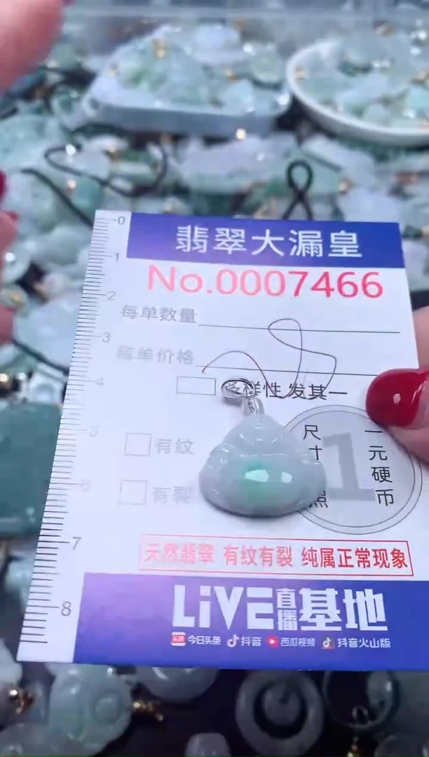 颈饰未镶嵌翡翠7466
