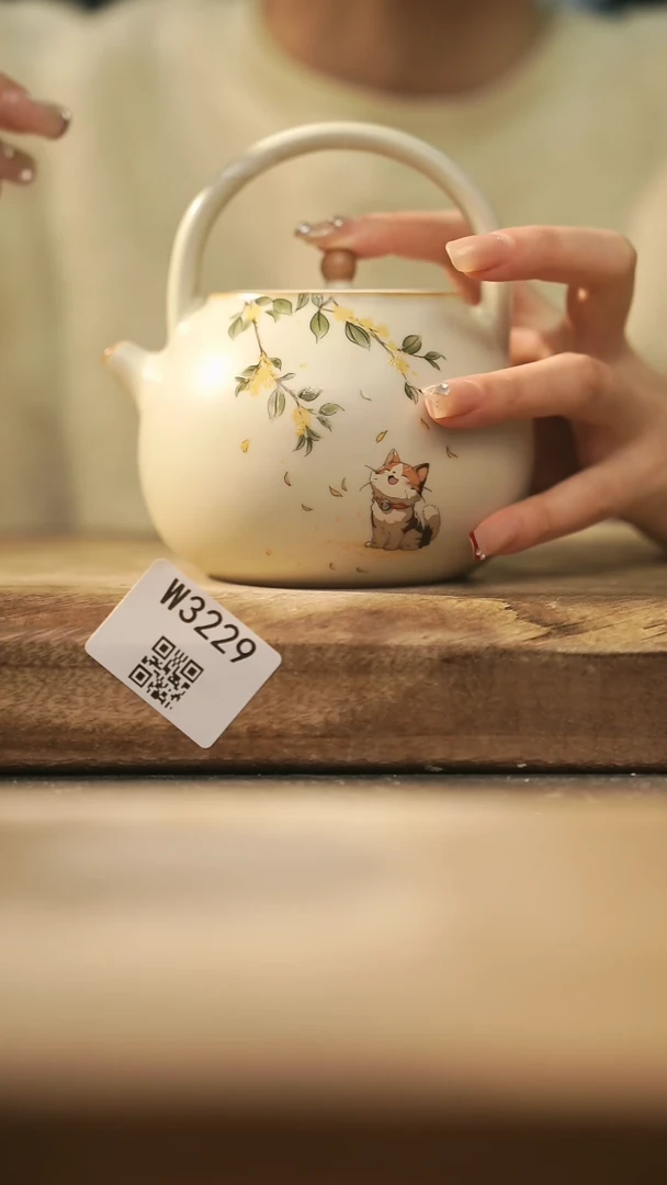 【闪购商品】【经典福利】/ 提梁壶@@W3229