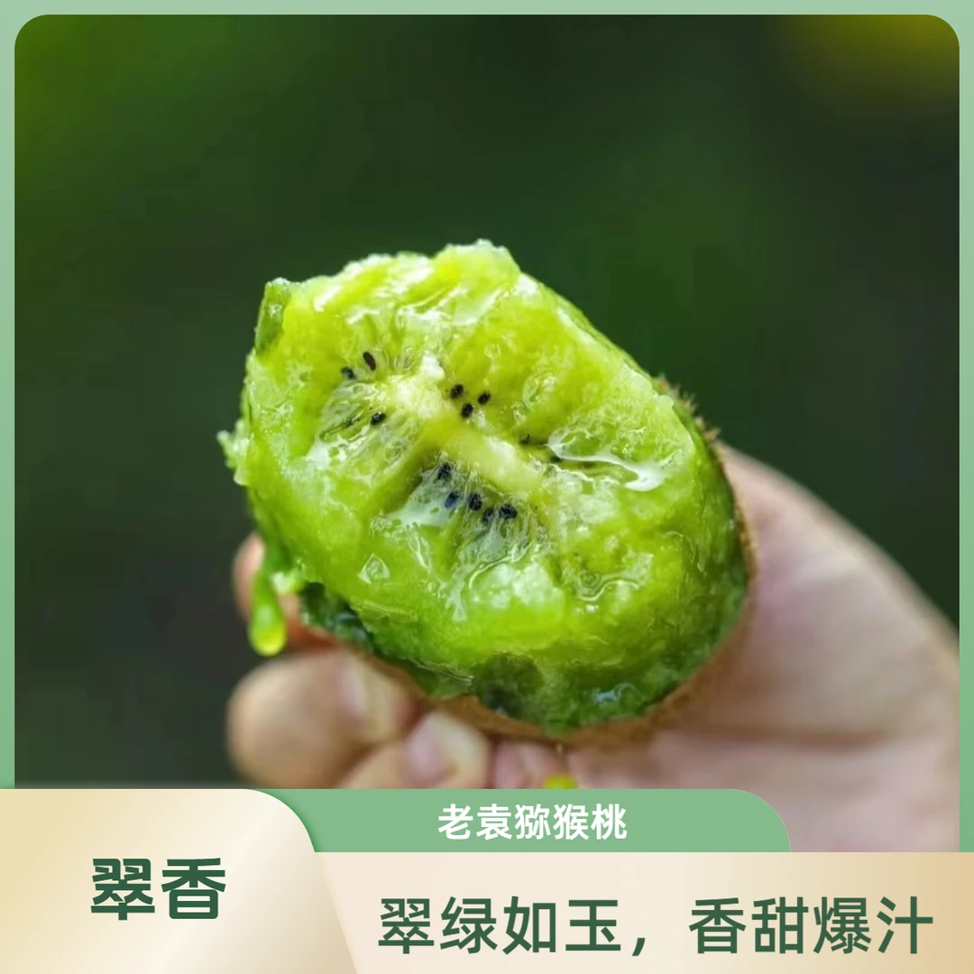 【家庭装】老袁家正宗陕西翠香/瑞玉猕猴桃