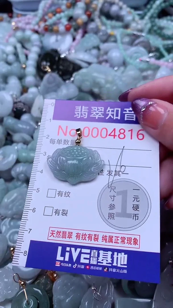 翡翠未镶嵌吊坠(不含链)4816