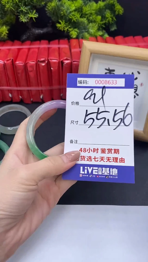 未镶嵌手镯翡翠0008633