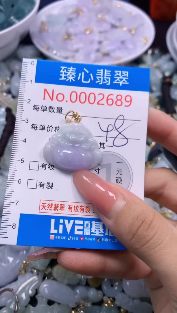 翡翠未镶嵌颈饰2689