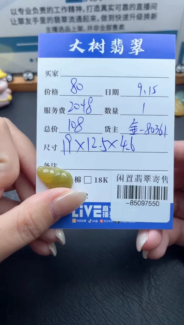 颈饰未镶嵌翡翠多人-85097550