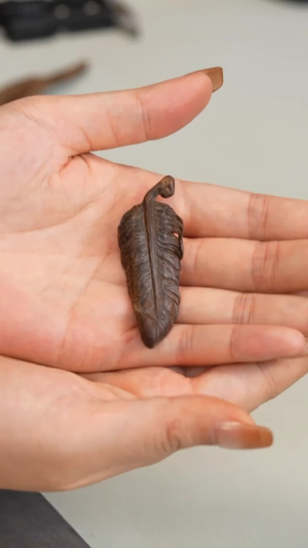 沉香沉香碎屑加雅布拉沉水4.5克